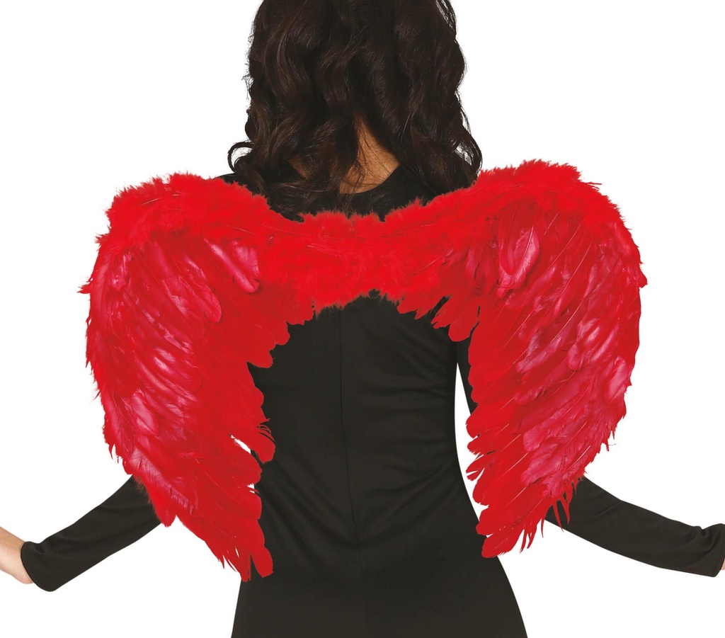 ALAS PLUMAS ROJAS 60 X 45 CMS BL REF.16265