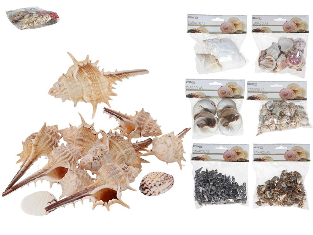 [143467] CARACOLAS DECORACION SURTIDAS +- 90 GRS