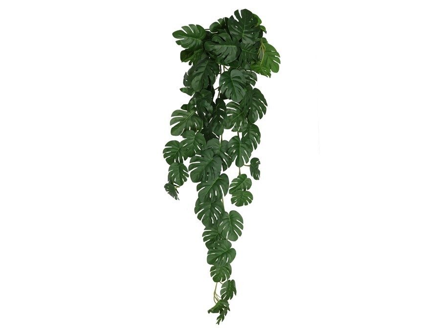 [140481] COLGANTE MONSTERA VERDE 66 CM