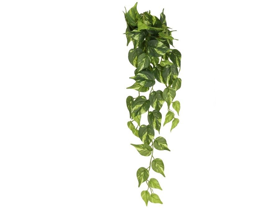 [140482] COLGANTE POTUS VERDE 66 CM