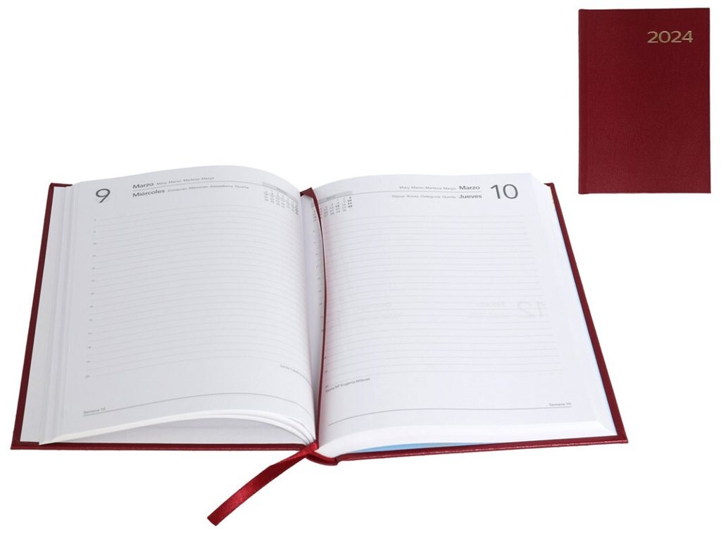 [96703] AGENDA SINTEX DIA PAGINA - BURDEOS 2025