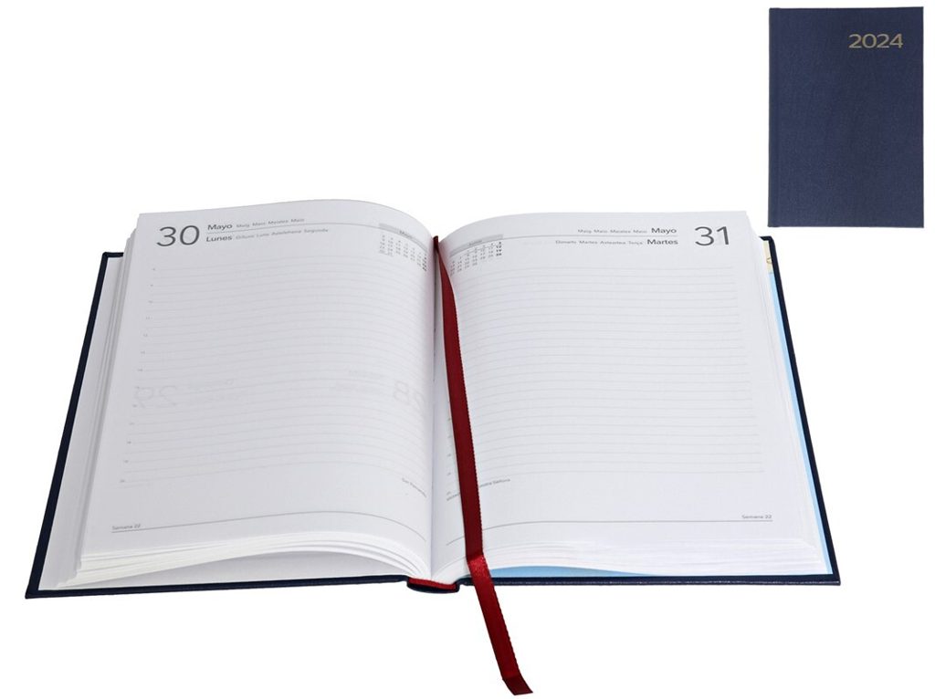 [116591] AGENDA SINTEX DIA - PAGINA AZUL 2025