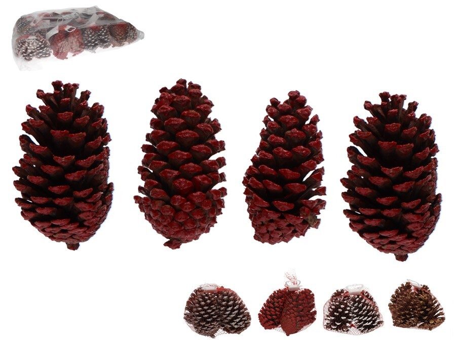 [138449] PIÑAS NATURAL 4 SURTIDOS 11 CM 4 UDS EN RED