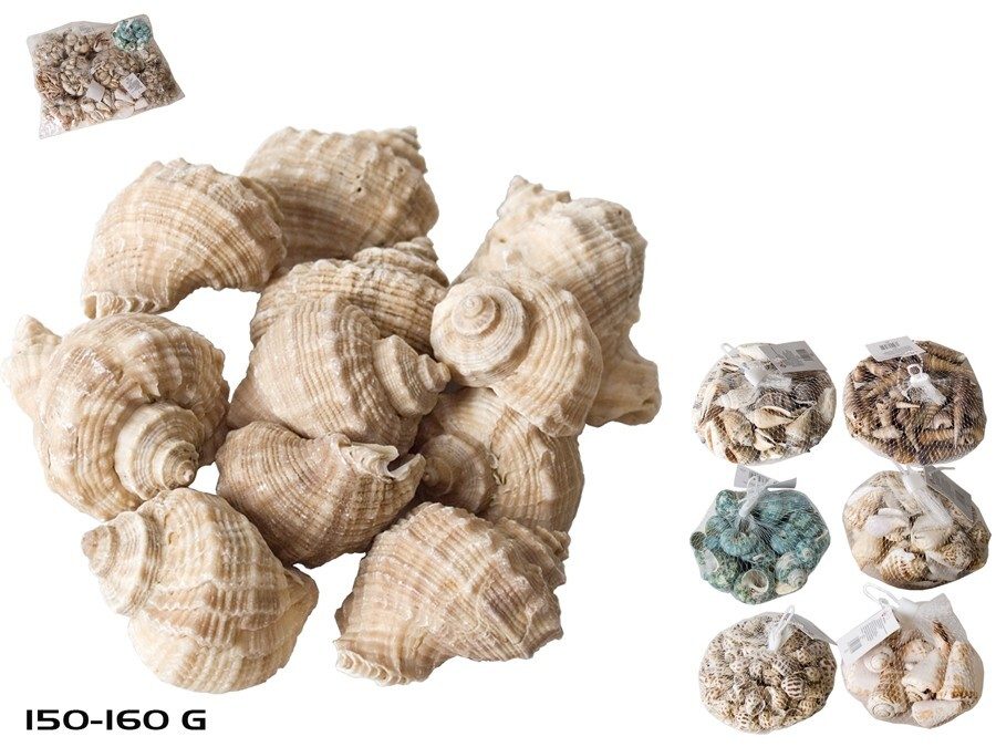 [130696] CARACOLAS DECORACION SURTIDAS 150-160 GRS