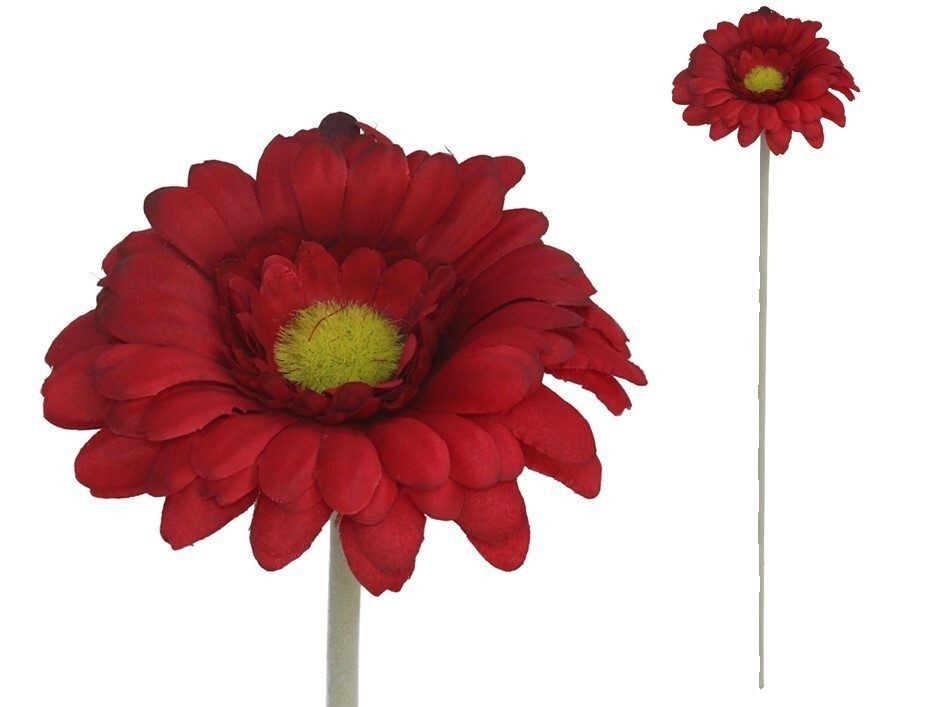[141199] VARA GERBERA ROJO 52 CM