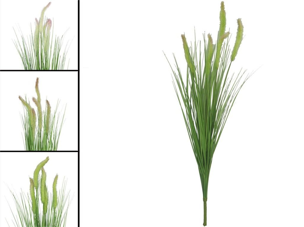 [149963] RAMO FOXTAIL GRASS X 5 81 CM