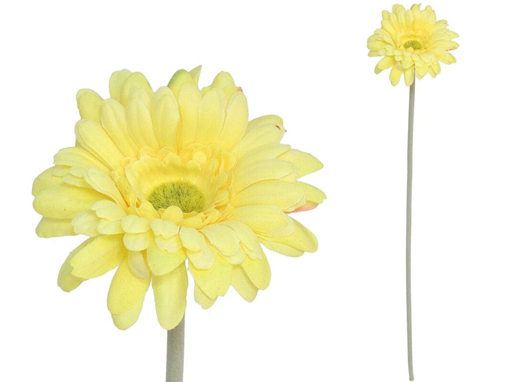 [149965] VARA GERBERA MICRO AMARILLA 52 CM