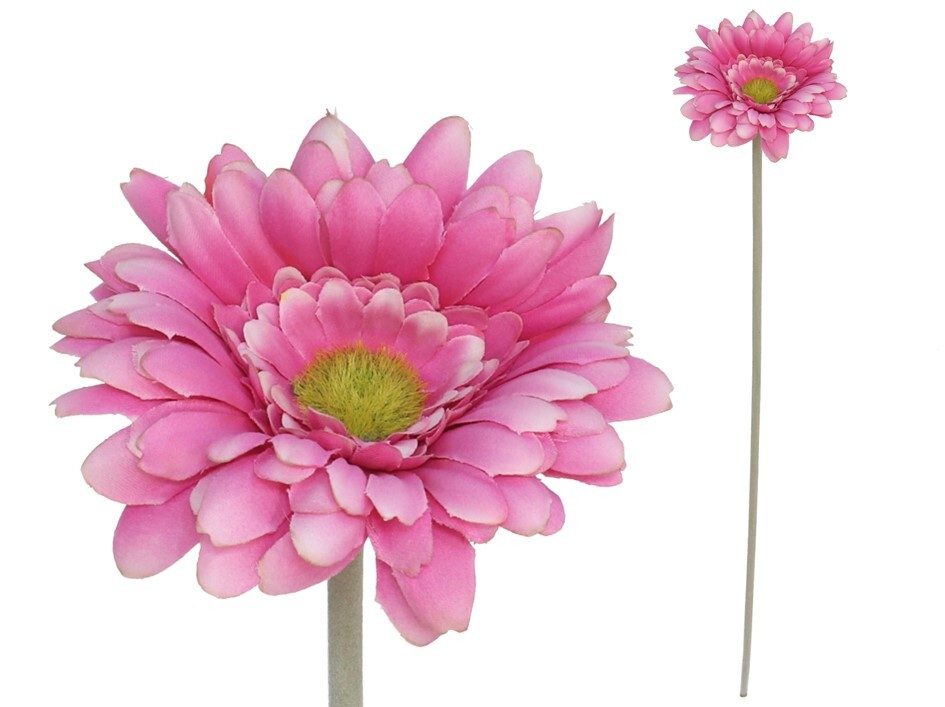 [149966] VARA GERBERA MICRO VIOLETA 52 CM