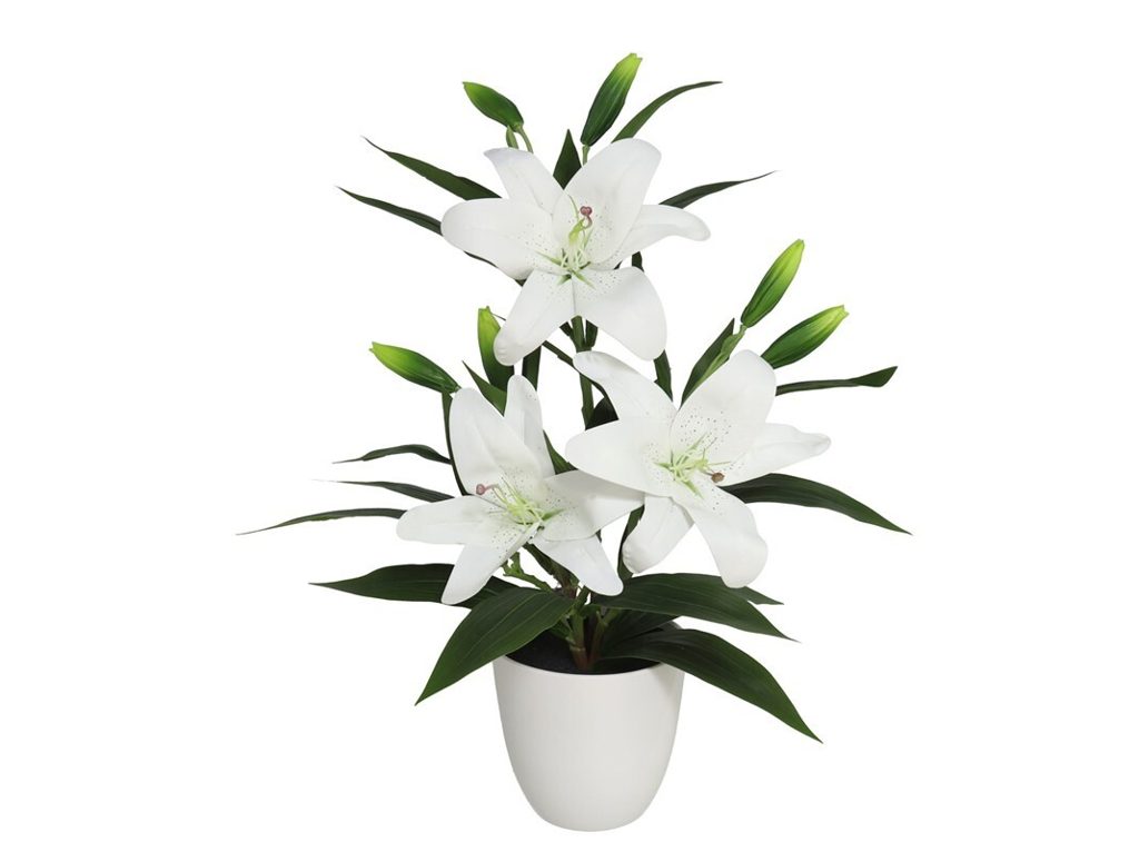[116873] MACETA LILY 57CM