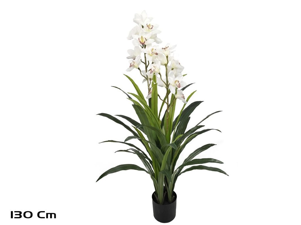 [134612] PLANTA CYMBIDIUM SATIN 130 CM
