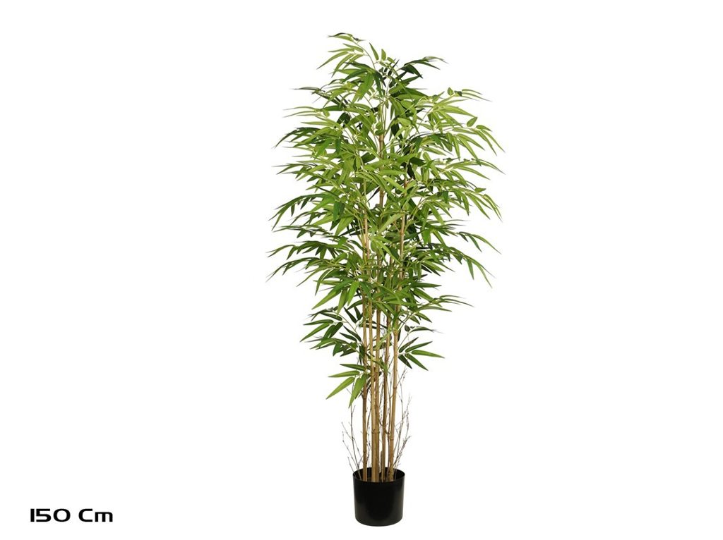 [134615] ARBOL BAMBU X 5 150 CM