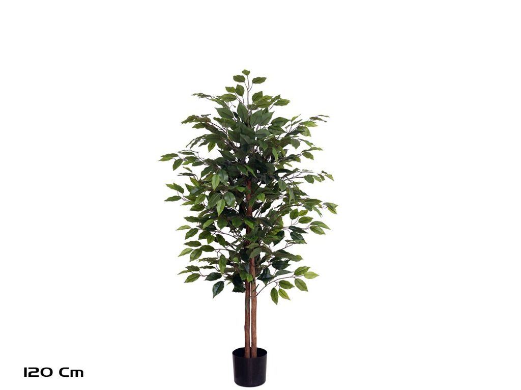 [134616] ARBOL FICUS NATURAL 120 CM
