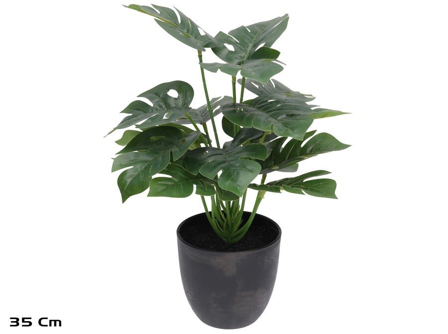 [142133] MACETA PLANTA MONSTERA 35 CM
