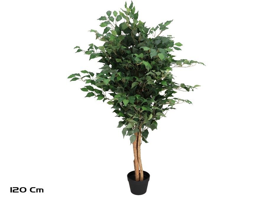[142137] ARBOL FICUS NATUR 120 CM