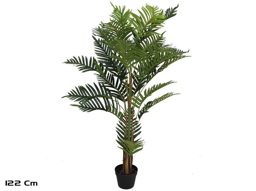 [142235] PLANTA PALMERA ARECA 122 CM