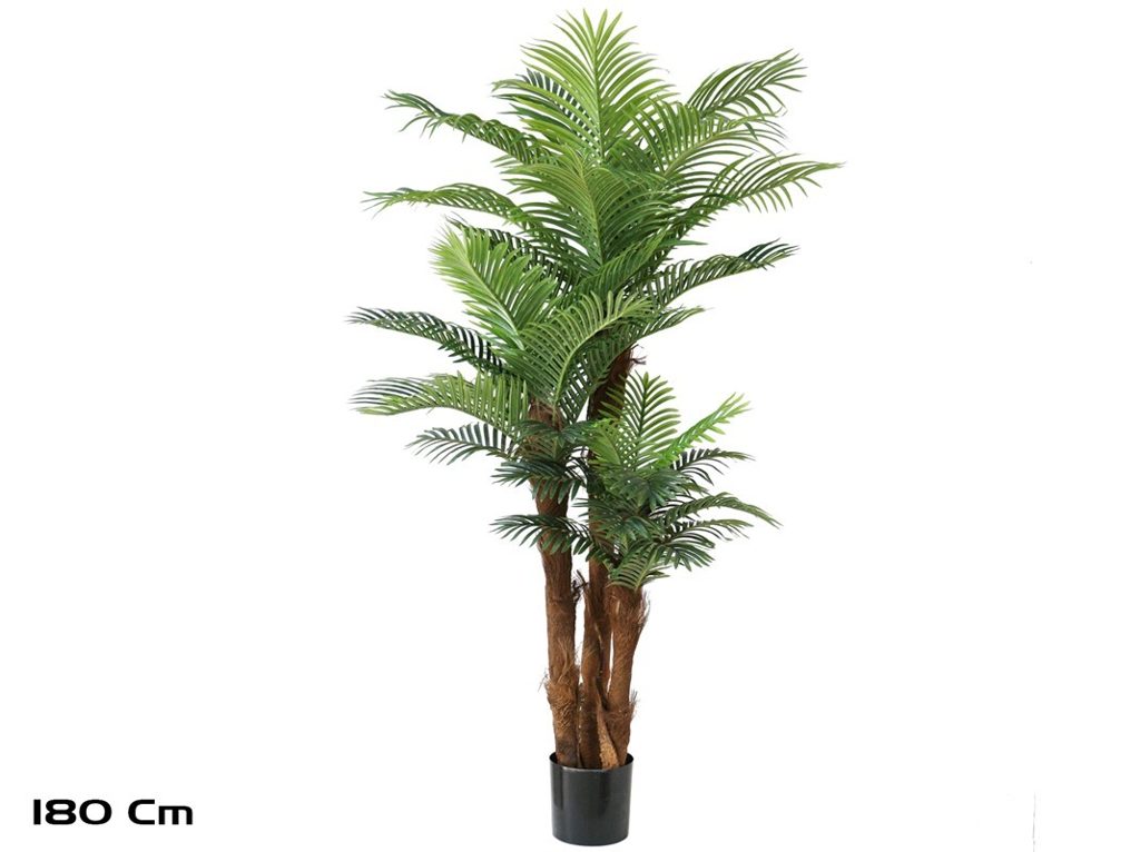 [149416] PLANA PALMERA PHOENIX X 3 180 CM
