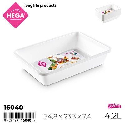 [44599] BANDEJA TURIN RECTANGULAR 4 LTS
