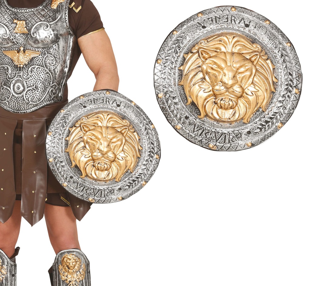 [148313] Escudo Romano
