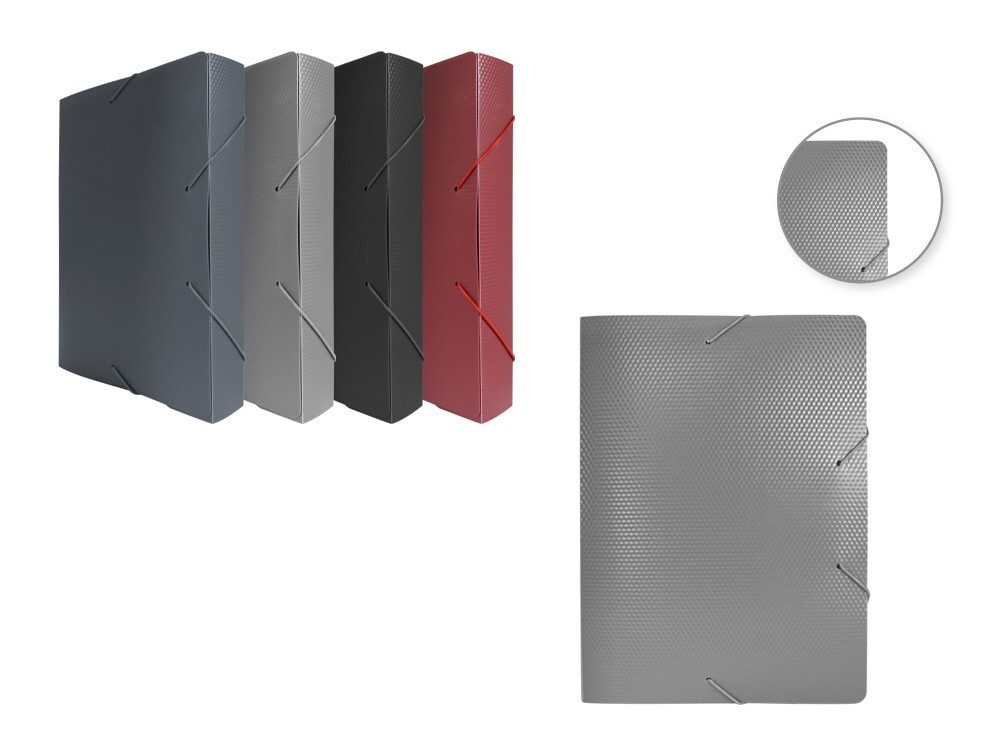 [151709] CARPETA PROYECTOS MANAGER 2.0 50 MM